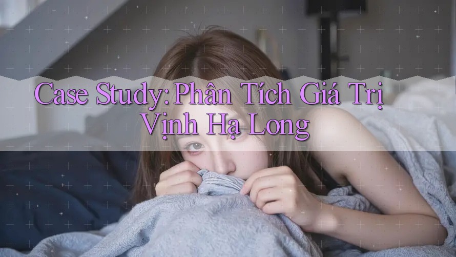Case Study: Phân Tích Giá Trị Vịnh Hạ Long
