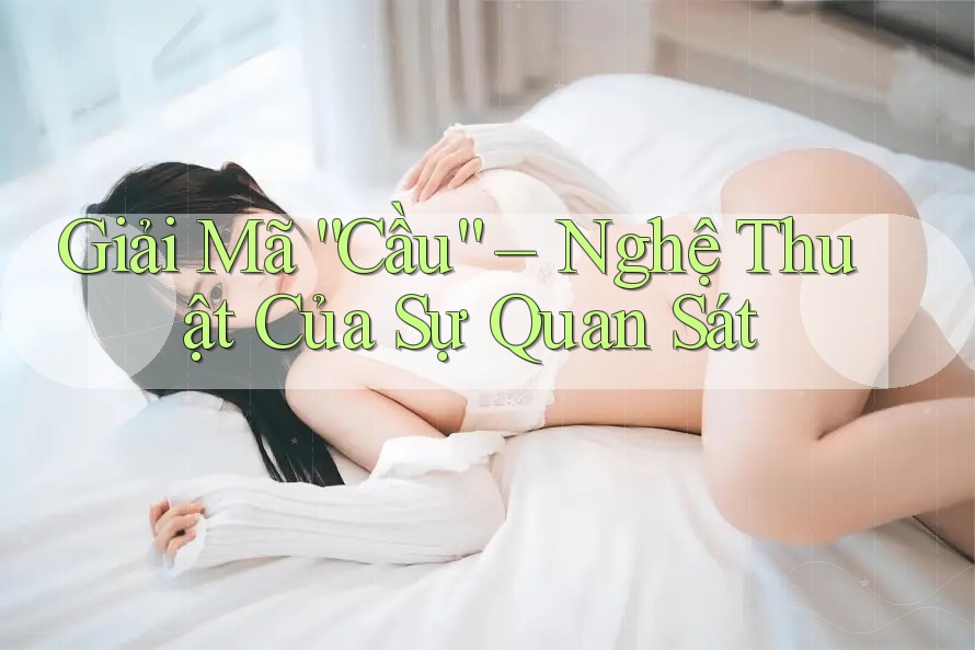 Giải Mã “Cầu” – Nghệ Thuật Của Sự Quan Sát