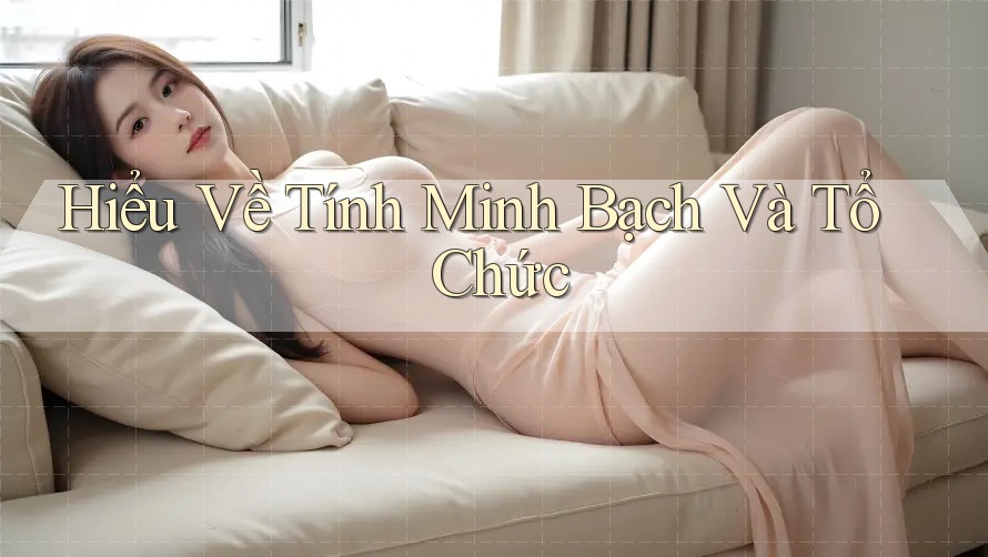 Hiểu Về Tính Minh Bạch Và Tổ Chức