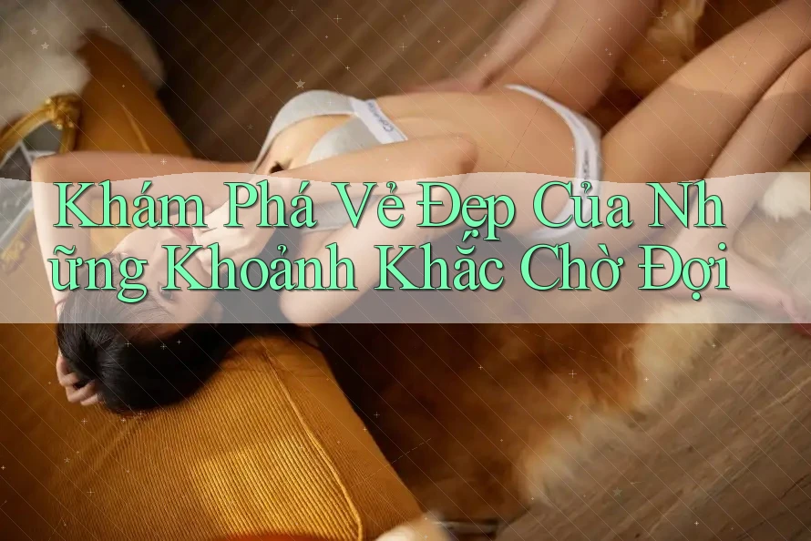 Khám Phá Vẻ Đẹp Của Những Khoảnh Khắc Chờ Đợi