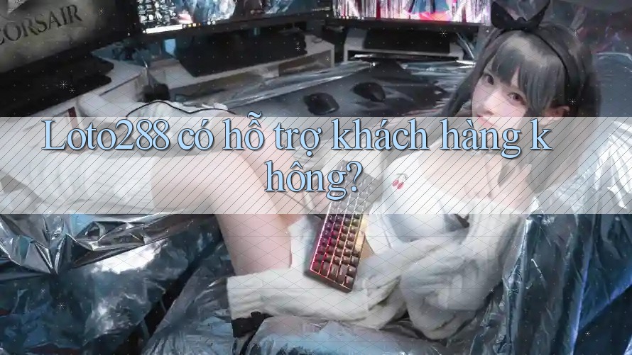 Loto288 có hỗ trợ khách hàng không?