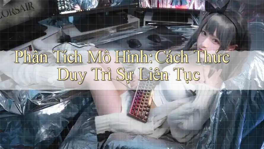 Phân Tích Mô Hình: Cách Thức Duy Trì Sự Liên Tục