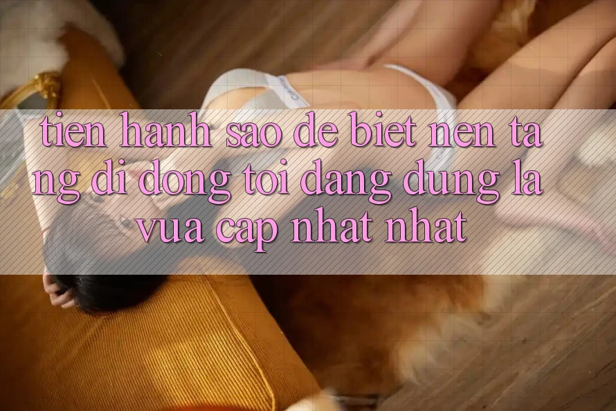 Tiến hành sao để biết nền tảng di động tôi đang dùng là vừa cập nhật nhất? Tiến hành sao để biết nền tảng di động tôi đang dùng là vừa cập nhật nhất?