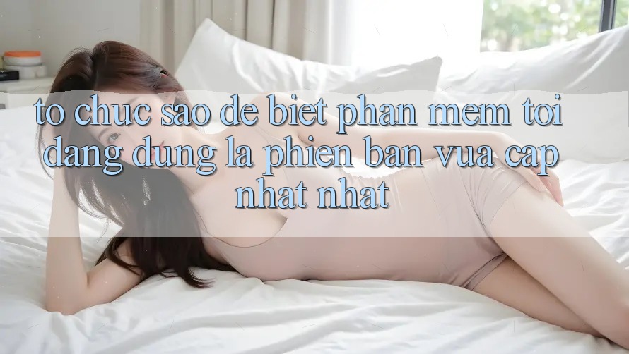 Tổ chức sao để biết phần mềm tôi đang dùng là phiên bản vừa cập nhật nhất?