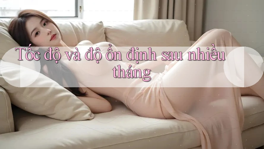 Tốc độ và độ ổn định sau nhiều tháng